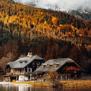 Autumn cabin wallpaper