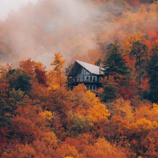 Autumn cabin wallpaper
