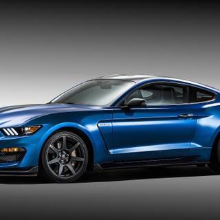 Shelby GT350R wallpaper