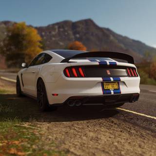 Shelby GT350R wallpaper