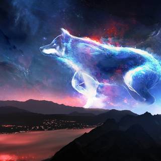 Wolf at night wallpaper