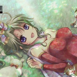 Terra Branford wallpaper