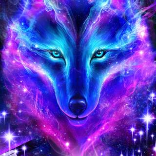 Wolf at night wallpaper