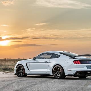 Shelby GT350R wallpaper