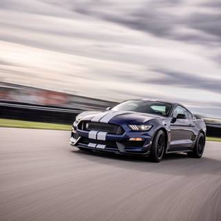 Shelby GT350R wallpaper