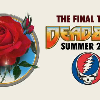 Dead and Company wallpaper