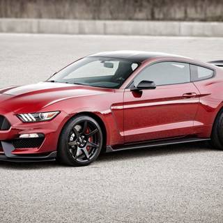 Shelby GT350R wallpaper