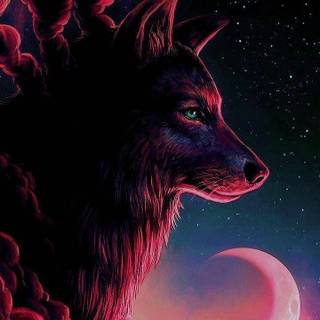 Wolf at night wallpaper