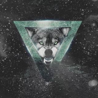 Wolf at night wallpaper