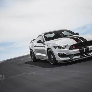 Shelby GT350R wallpaper