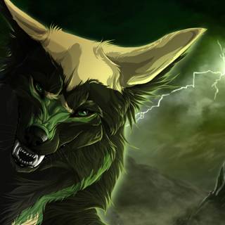 Wolf at night wallpaper