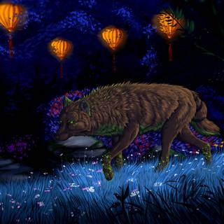 Wolf at night wallpaper