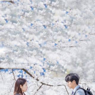 Doctor Slump wallpaper