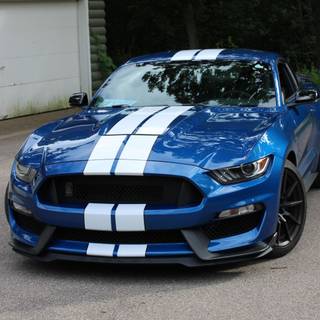 Shelby GT350R wallpaper