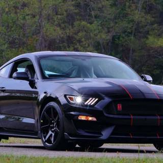 Shelby GT350R wallpaper