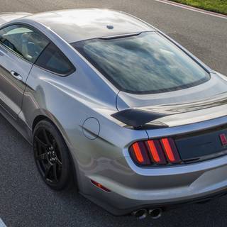 Shelby GT350R wallpaper