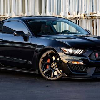 Shelby GT350R wallpaper