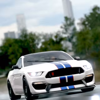 Shelby GT350R wallpaper