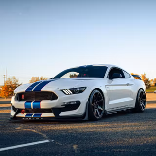 Shelby GT350R wallpaper