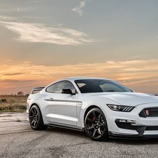 Shelby GT350R wallpaper
