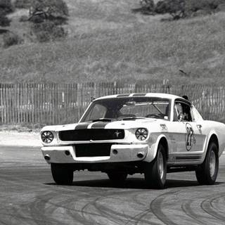 Shelby GT350R wallpaper