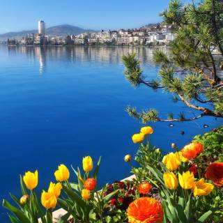 Lake Geneva wallpaper