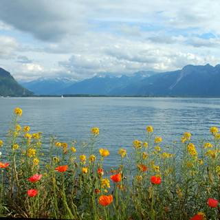 Lake Geneva wallpaper