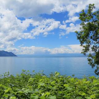 Lake Geneva wallpaper
