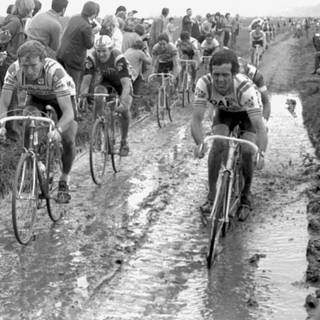 Paris Roubaix wallpaper