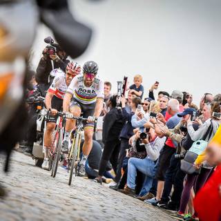 Paris Roubaix wallpaper