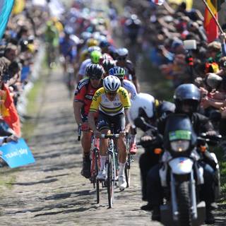 Paris Roubaix wallpaper