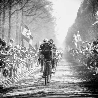 Paris Roubaix wallpaper