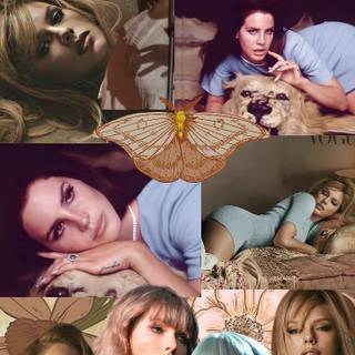 Taylor Swift PFP wallpaper