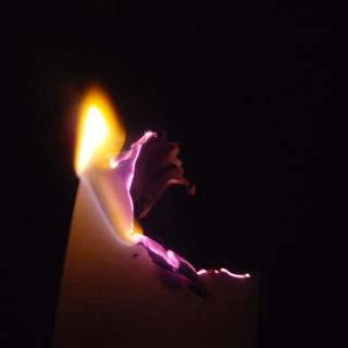 Burning paper wallpaper