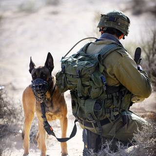 Israel Defense Forces wallpaper