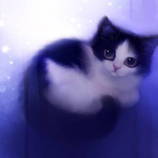 Cute blue cats wallpaper