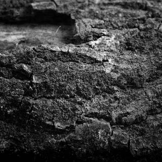 Blackstone wallpaper