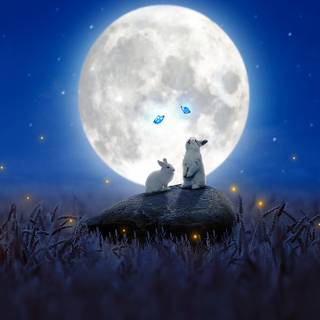 Moon rabbit wallpaper