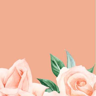 Peach roses wallpaper