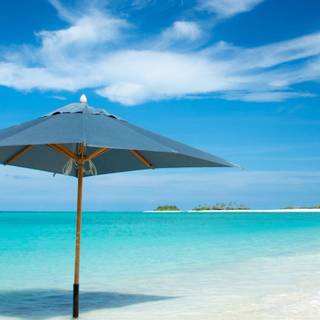 iPhone summer 4k wallpaper