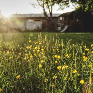 Aesthetic spring meadow wallpaper