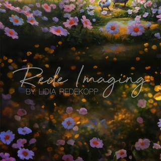 Aesthetic spring meadow wallpaper