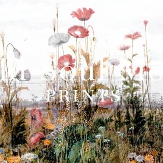 Aesthetic spring meadow wallpaper