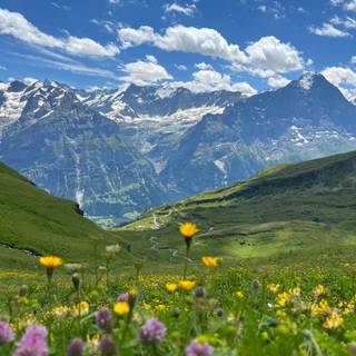 Switzerland summer iPhone wallpaper