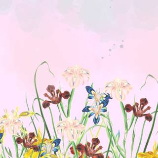 Aesthetic spring meadow wallpaper