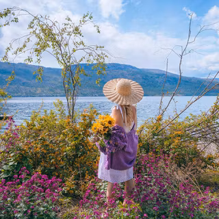 Aesthetic spring meadow wallpaper