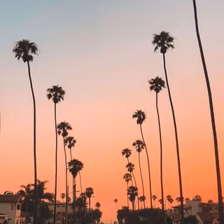 iPhone summer 4k wallpaper