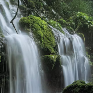 8k spring phone wallpaper