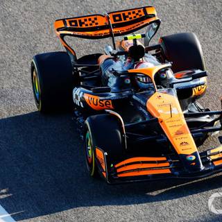 Lando Norris 2024 wallpaper