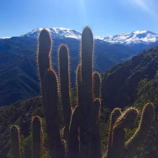 Cerro Pochoco wallpaper